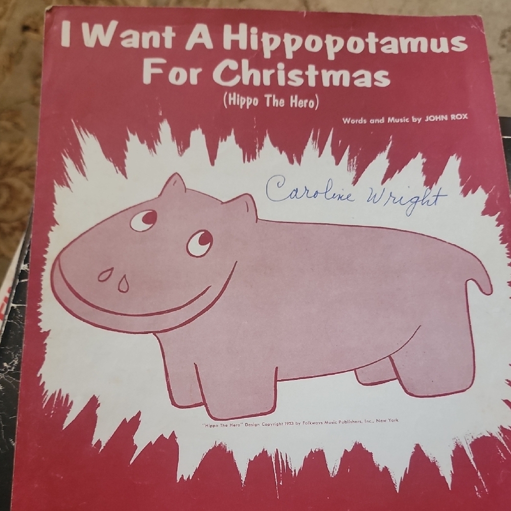 Whimsical Pink and White Hippopotamus Art